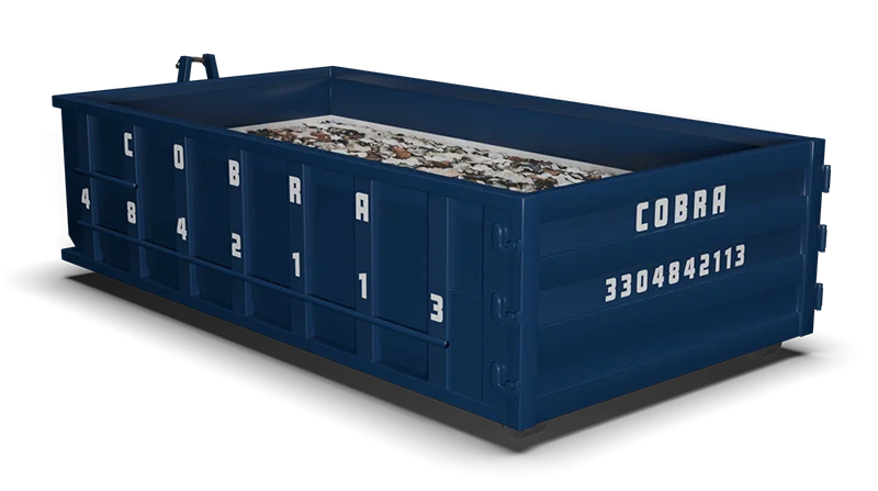 10 Yard Dumpster
