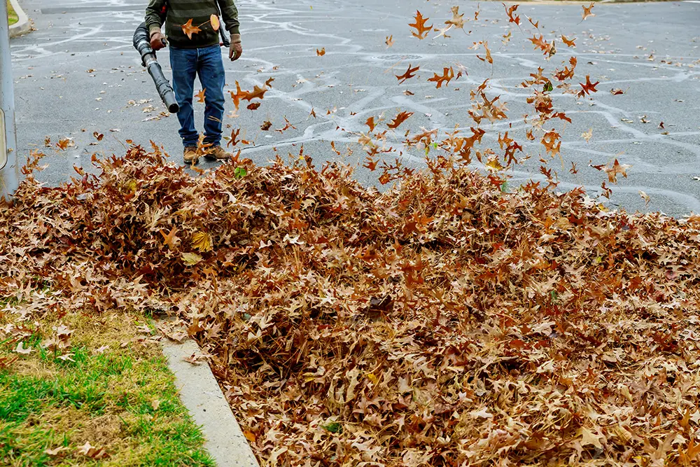 Fall Landscaping Cleanup in Northeast Ohio